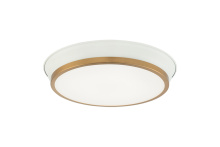 Matteo Lighting M11202WHAG - Jaxx White + Aged Gold Brass Ceiling Mount